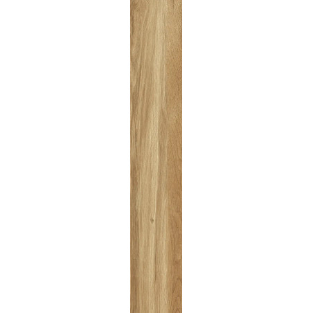 Saime Alpi Miele 15×90 gres effetto legno per esterno