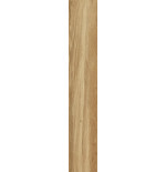 Saime Alpi Miele 15×90 gres effetto legno per esterno