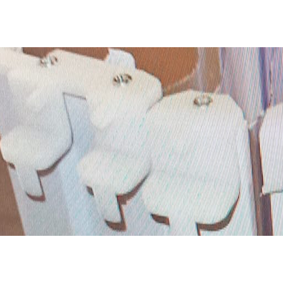 Ricambio gancio di scorrimento in PVC per Box doccia a soffietto