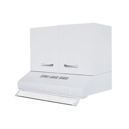 Mobile armadietto pensile 60 per cappa (non compresa) con 2 ante